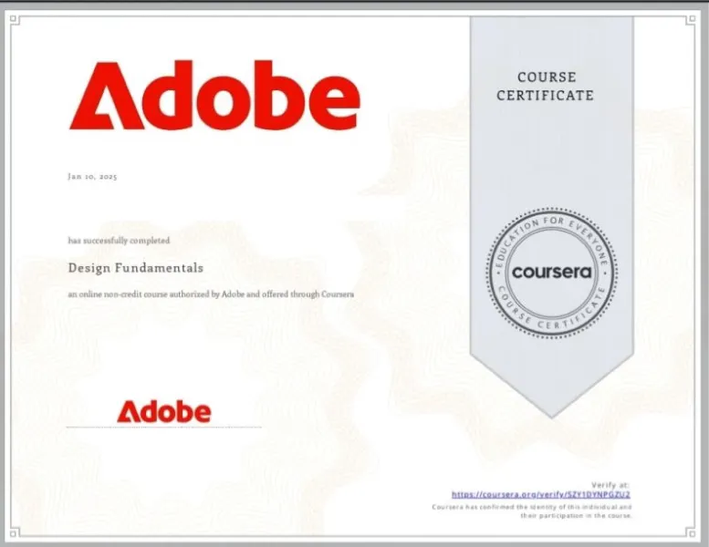Professional microcredential learning
