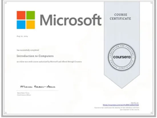 Online professional certificate